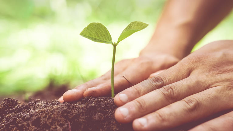 Notre engagement pour le développement durable