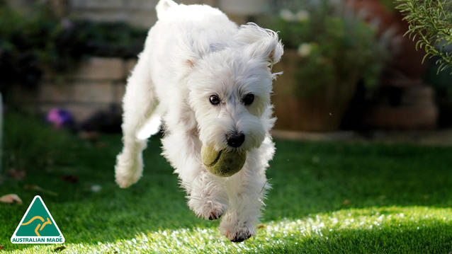 As seen on The Block: Build Your Perfect Lawn with LuxTurf