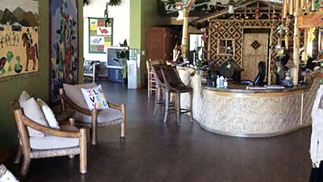 The Painted Turtle