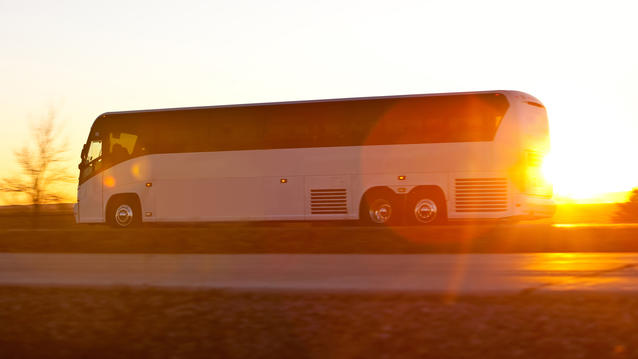 Bus & Coach