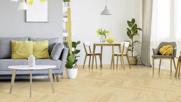 Essence 55-COOL OAK-CLASSICAL-10x60-4v