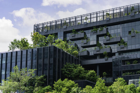 Zrównoważony rozwój w praktyce – Tarkett Polska członkiem PLGBC