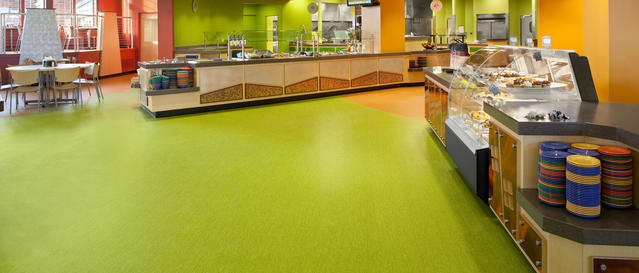 Cafeteria / Dining Areas