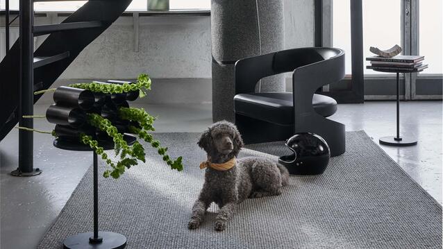 Interiörbild mattor