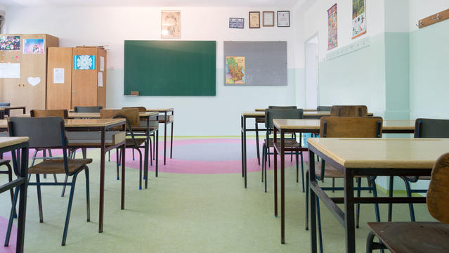 Școala Primară „Desanka Maksimović”