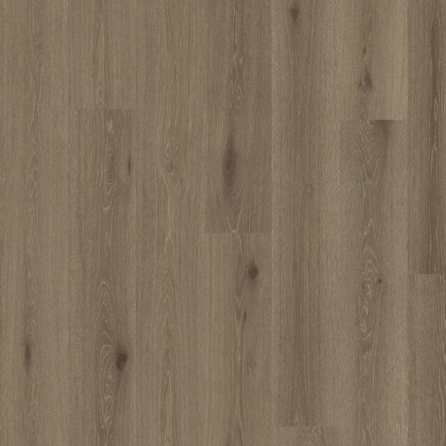 Welsh Oak BARK