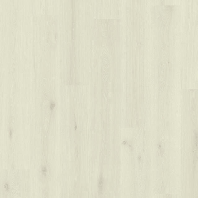 Welsh Oak COTTON