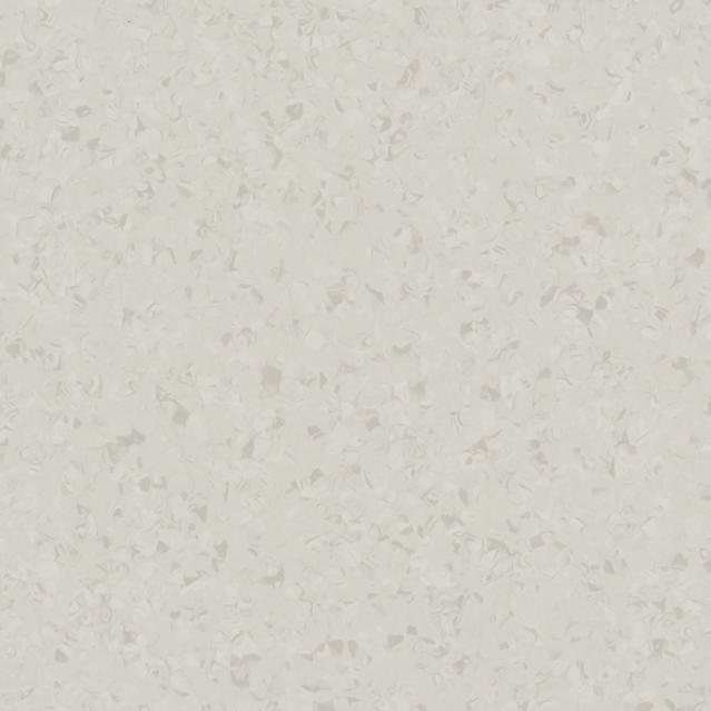 Wall Solid Upper Seashell