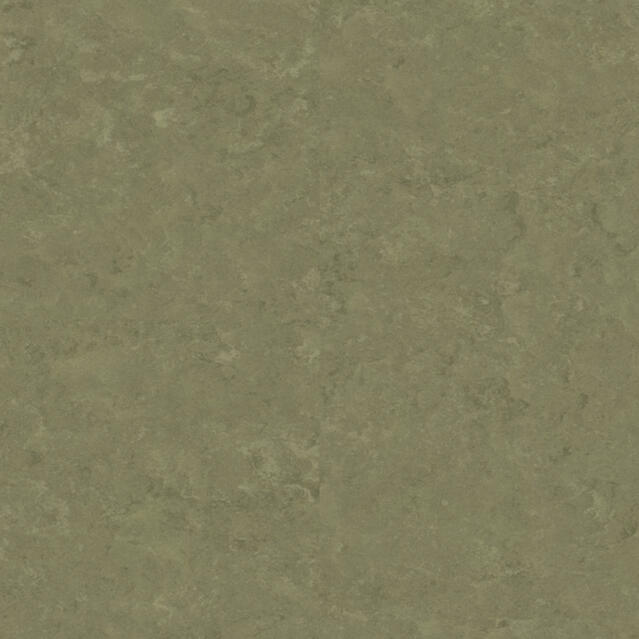 Veneto KHAKI 757