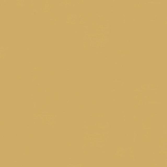 LinoWall HONEY 112