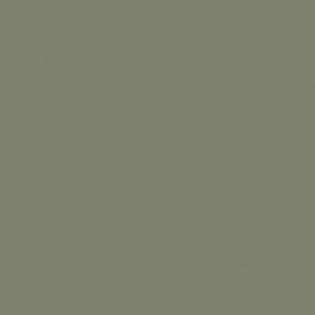 LinoWall CROCODILE 191