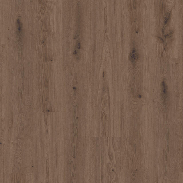 Delicate Oak Brown