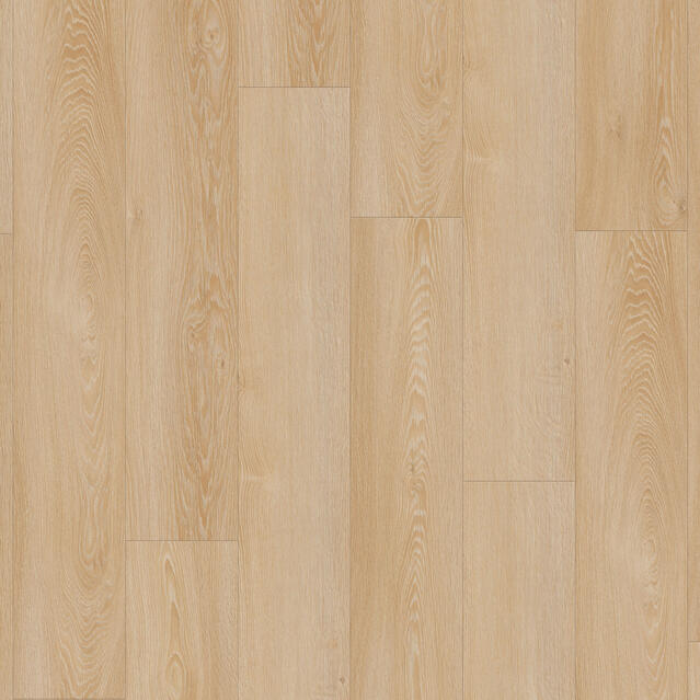 Modern Oak Classical