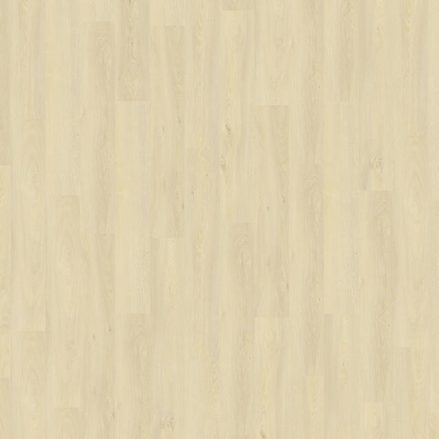 Modern Oak Light Natural