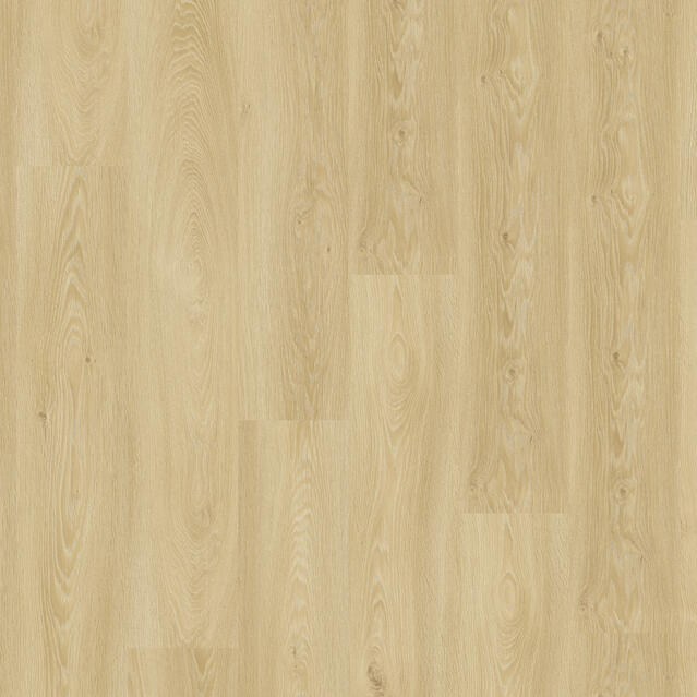 Essence 55 - Cool Oak Classical