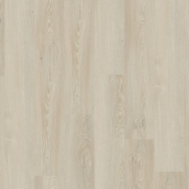 Essence 55 - Cool Oak Light Beige