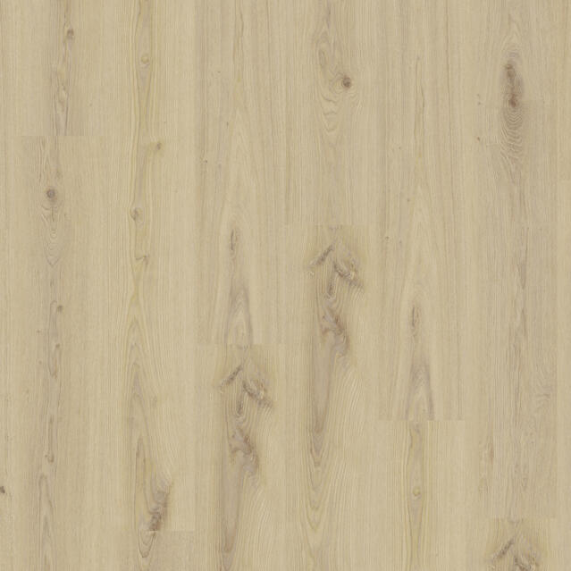 Essence 55 - Primary Oak Beige