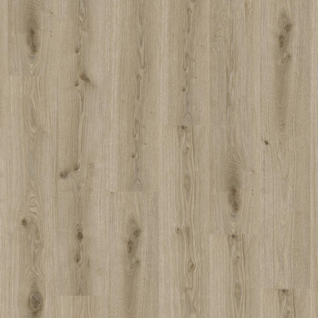Essence 55 - Primary Oak Light Grey