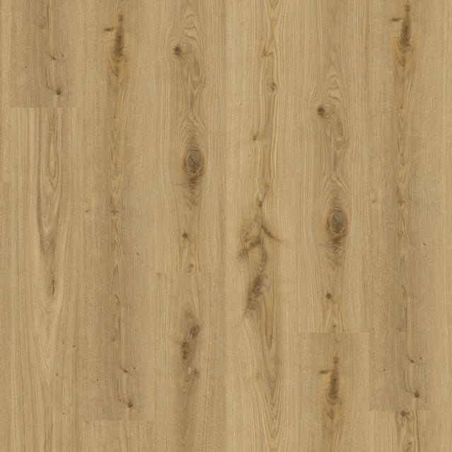 Essence 55 - Primary Oak Natural