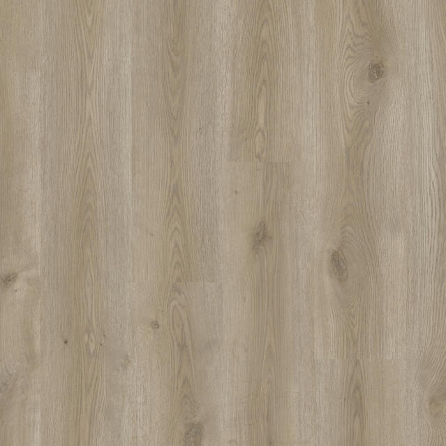 StellarClassics | Contemporary Oak GREGE