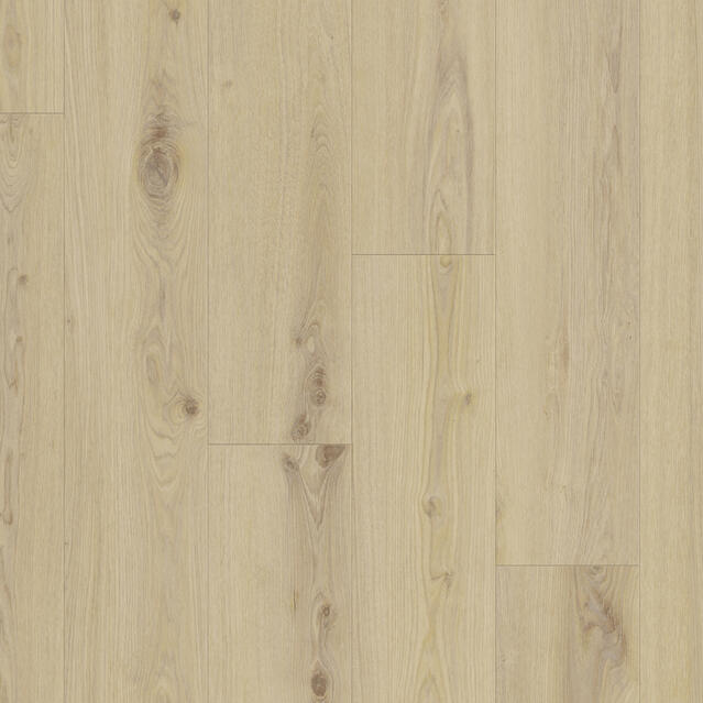 Delicate Oak ALMOND