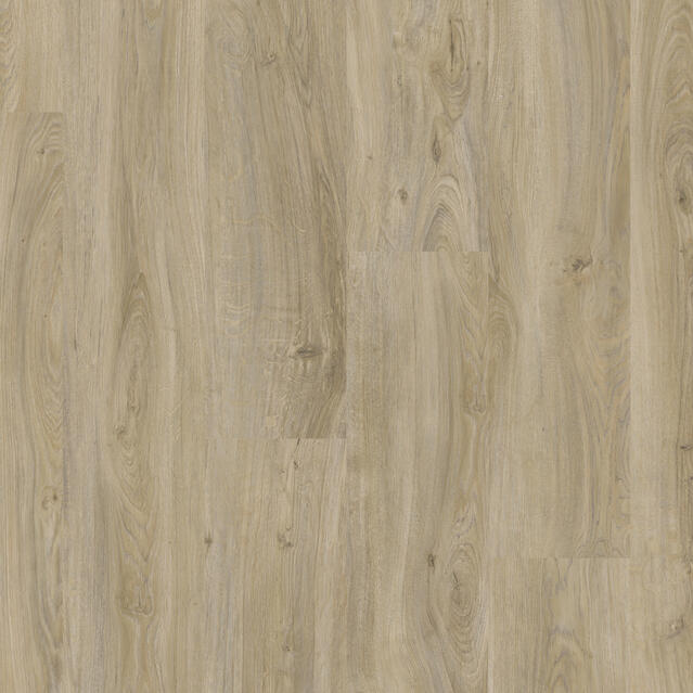 English Oak GREGE