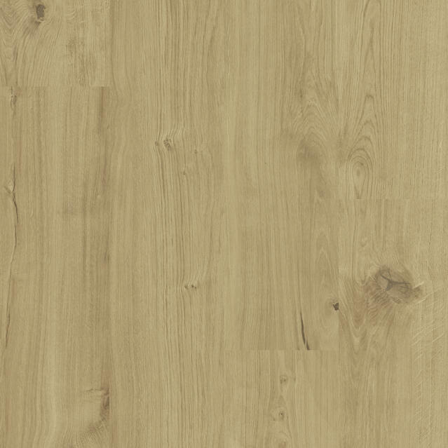 Nomad Oak OAT
