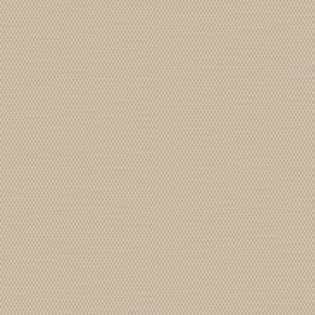 Canvas BLUSH