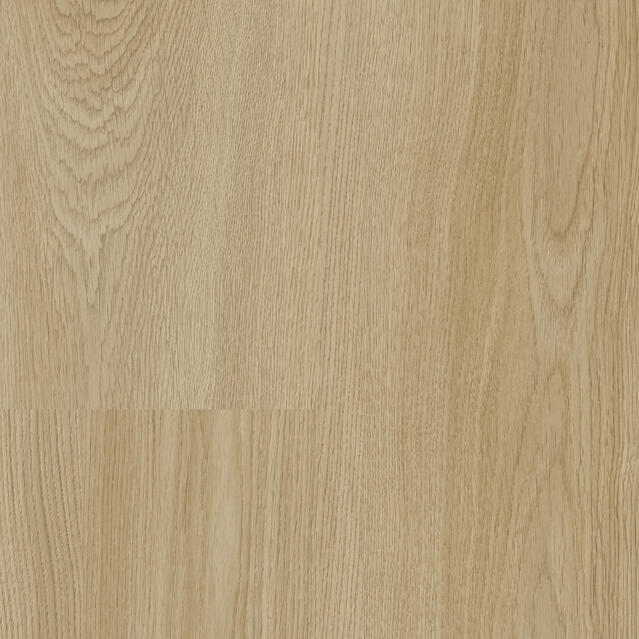 Citizen Oak Allover GOLDEN