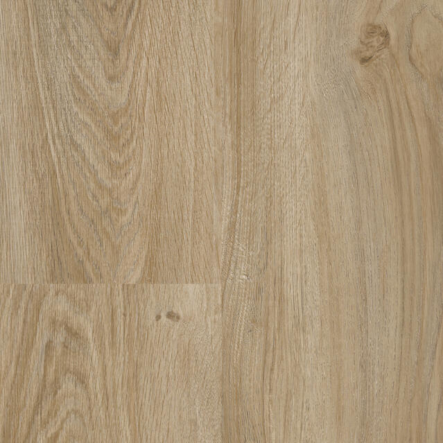 English Oak WARM GOLD