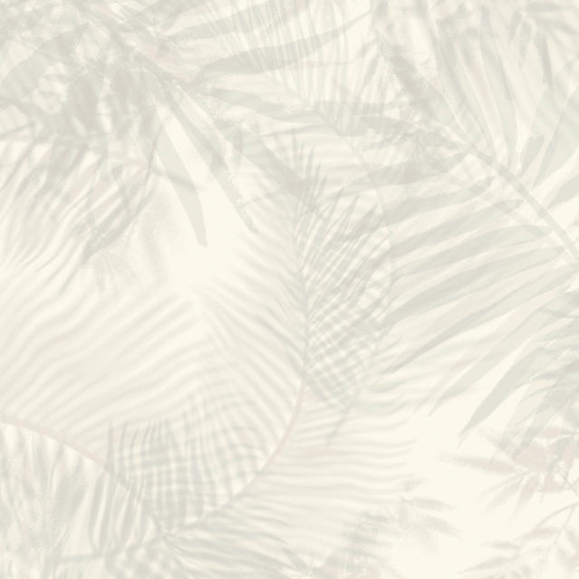 Palm Grey